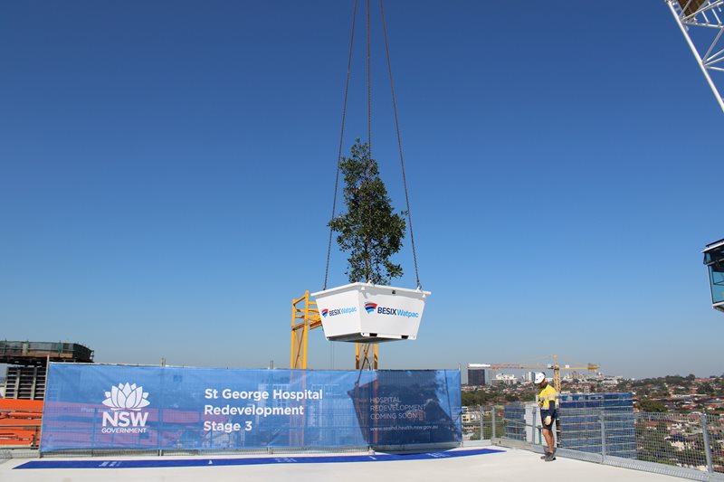 St-George-topping-out-2.JPG