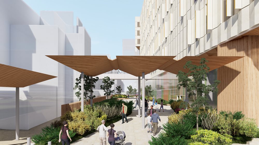 Project image - Hospital Road North Plaza and Gardens
